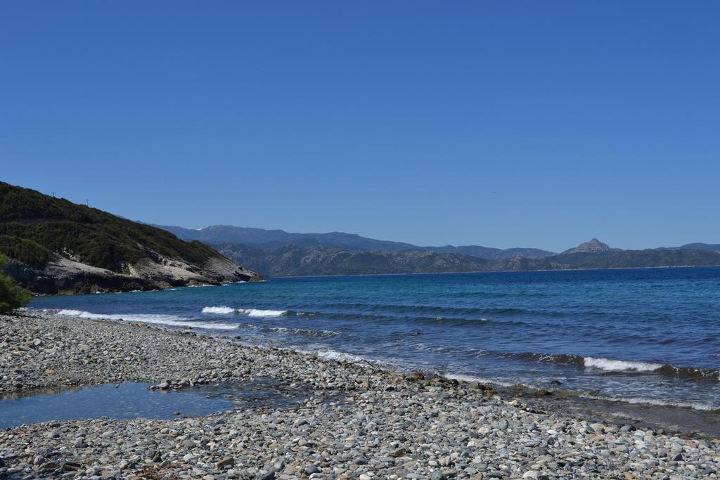 Maison Les Pieds Dans L Eau Farinole